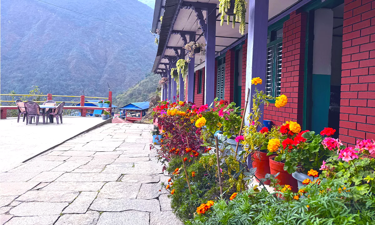 Mardi Himal Accomodation