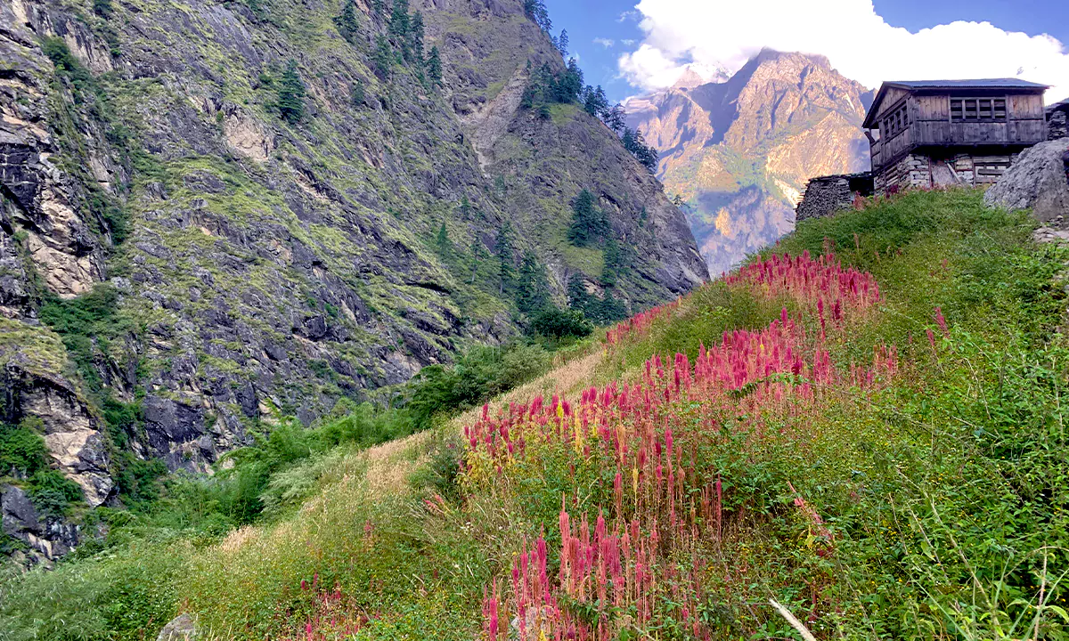 Sustainable Trekking in Nepal