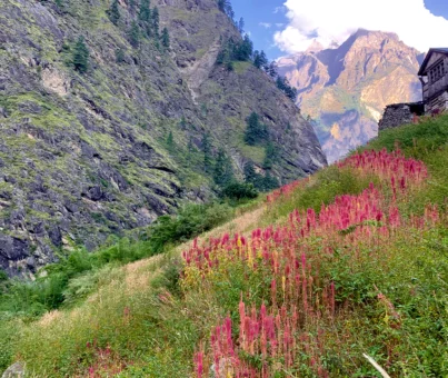 Sustainable Trekking in Nepal