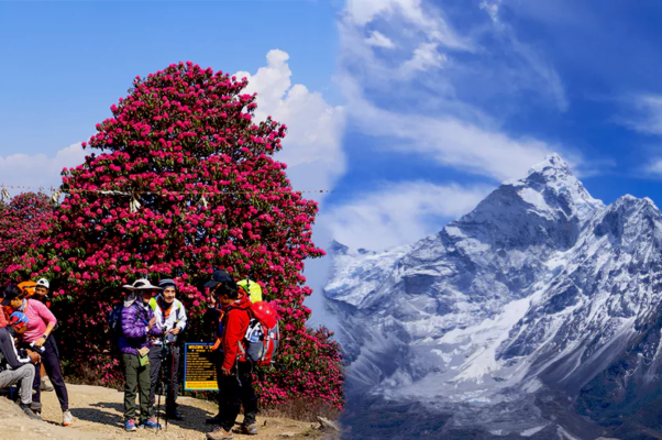 Best season for Trekking in Nepal